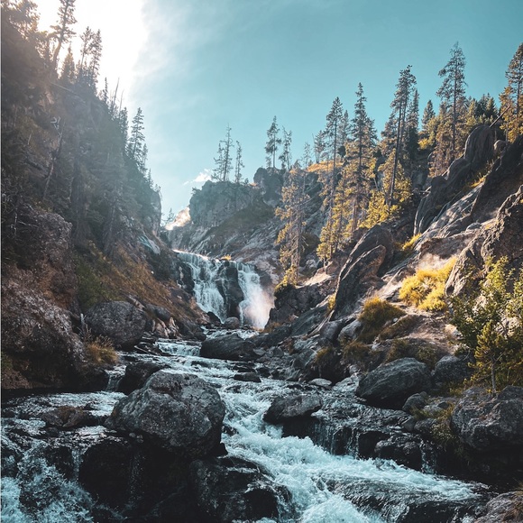 Meet your Posher, Brooklyn - Picture 3 of 3